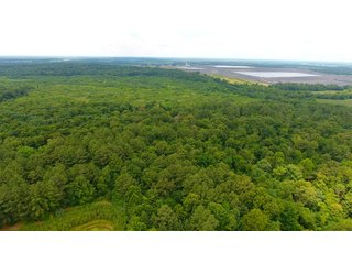 TRACT 31 - ILLINOIS LAND AUCTION - 4,810+/- ACRES OFFERED IN 85 TRACTS IN FRANKLIN, WILLIAMSON, HAMILTON & SALINE COUNTIES, ILLINOIS